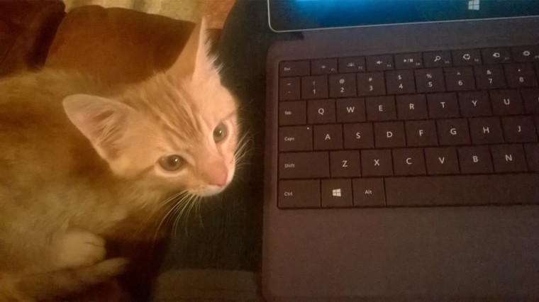 Only ten weeks old, but he always wants to help. 